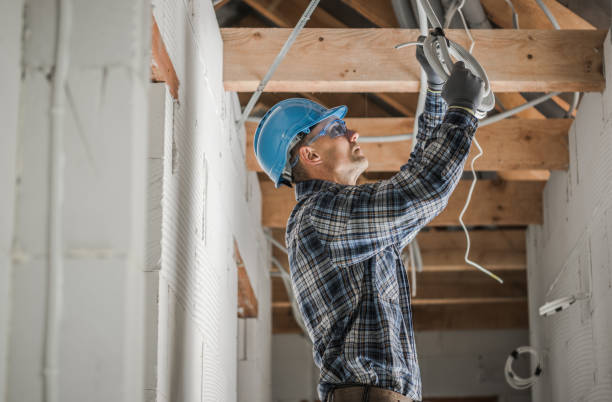 Best Electrical Troubleshooting Services  in Knoxvle, IL