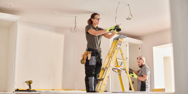 Best Electric Panel Repair  in Knoxvle, IL